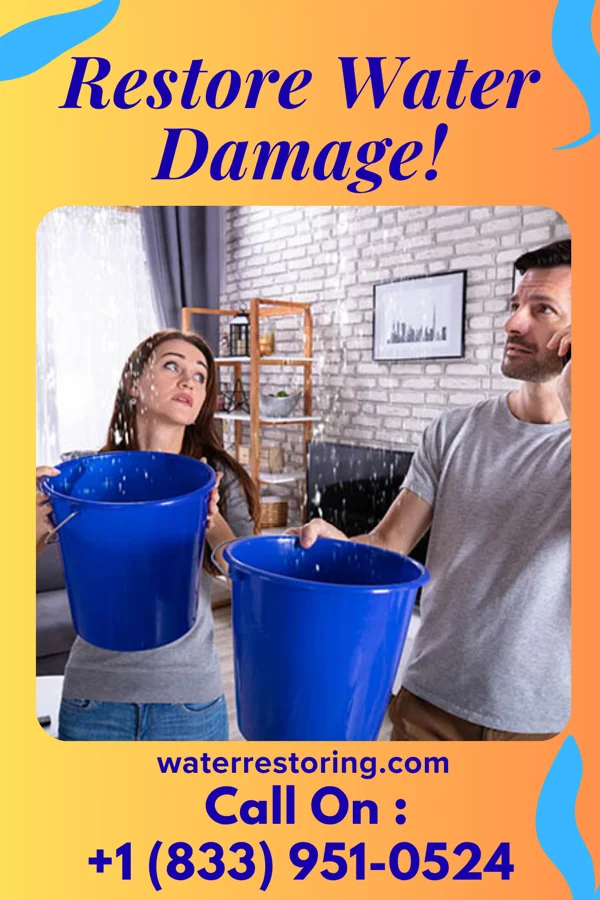 water restoration Reliable Damage Restoration Contractors Amelia