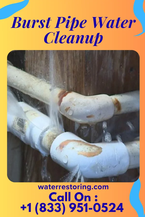 Burst Pipe Water Cleanup in Amelia, OH
