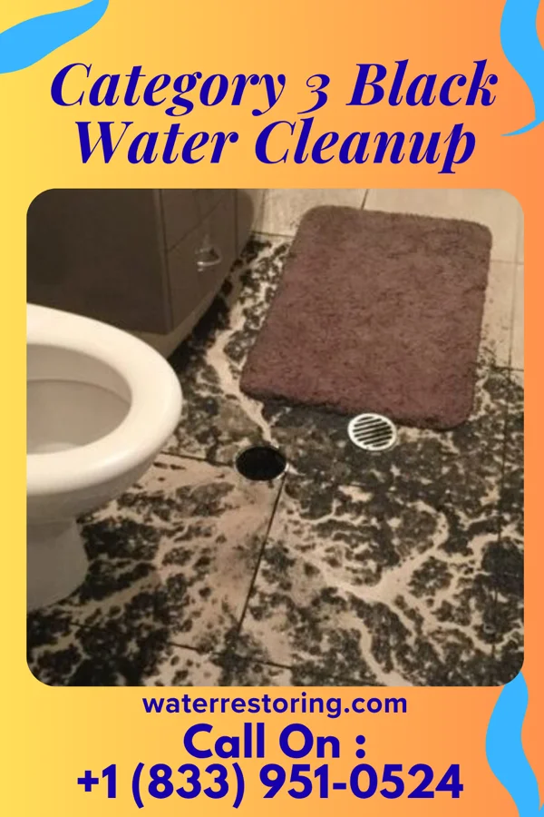 Category 3 Black Water Cleanup in Amelia, OH