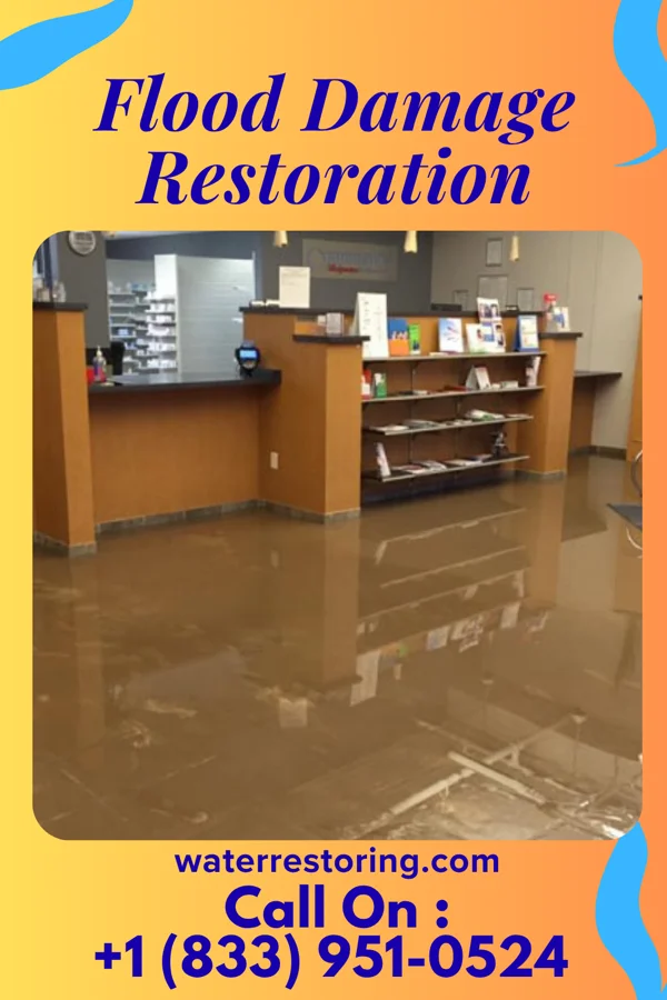 Flood Damage Restoration in Amelia, OH