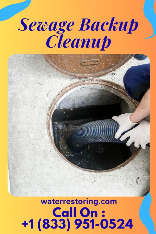 Sewage Backup Cleanup in Amelia, OH