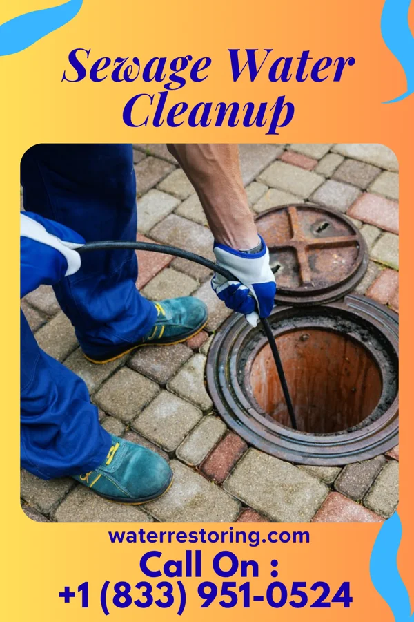 Sewage Water Cleanup in Amelia, OH