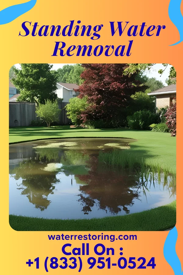Standing Water Removal in Amelia, OH
